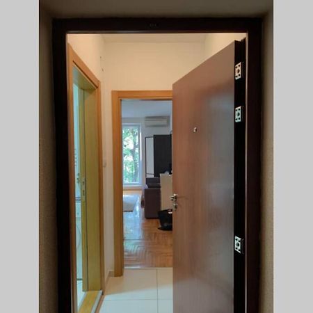 Renovated Cozy Studio 7 At Top Location - Available For Long Term Rentals Novi Sad Esterno foto