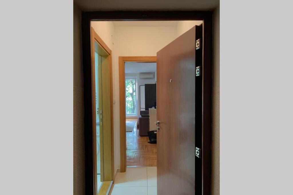 Renovated Cozy Studio 7 At Top Location - Available For Long Term Rentals Novi Sad Esterno foto