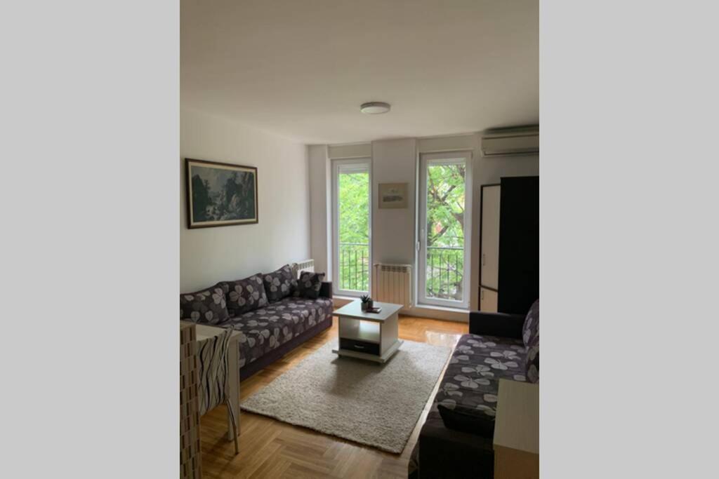 Renovated Cozy Studio 7 At Top Location - Available For Long Term Rentals Novi Sad Esterno foto