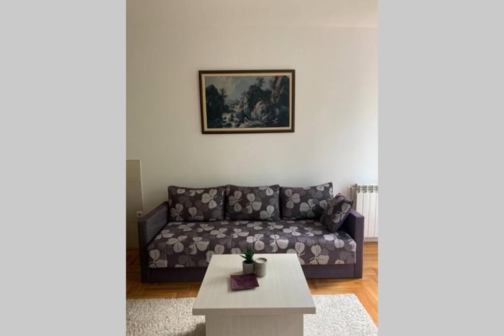 Renovated Cozy Studio 7 At Top Location - Available For Long Term Rentals Novi Sad Esterno foto
